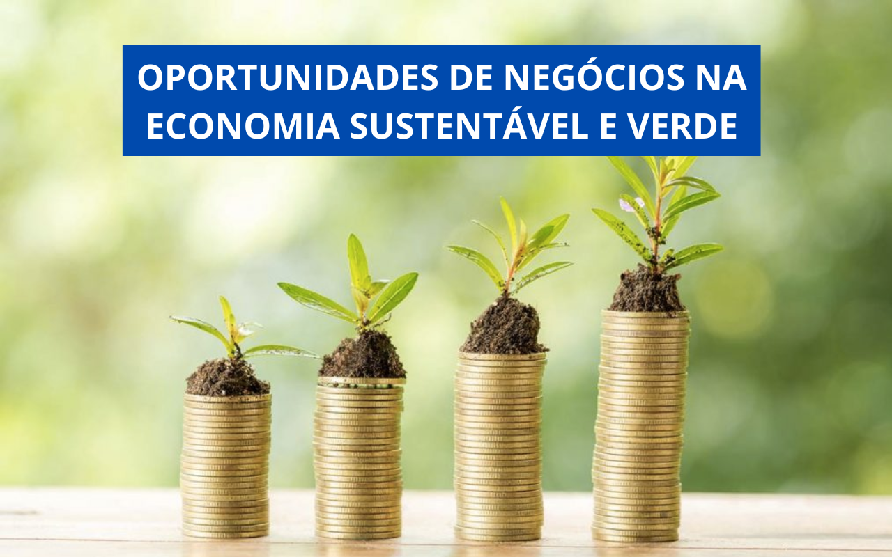 ## Oportunidades de Negócios na Economia Sustentável e Verde A economia sustentável e verde está em ascensão, impulsionada pela crescente conscientização sobre questões ambientais e pela demanda por soluções que respeitem o meio ambiente. Esse mercado oferece uma infinidade de oportunidades para empreendedores que desejam alinhar lucros com impacto positivo. Descubra algumas das principais áreas de atuação e como aproveitar essas tendências. ### 1. Energias Renováveis A transição para fontes de energia limpa, como solar, eólica e biomassa, está em alta. Negócios que oferecem instalação de painéis solares, consultoria em eficiência energética ou soluções inovadoras para armazenamento de energia têm grande potencial de crescimento. Com incentivos governamentais e redução nos custos das tecnologias, a adesão a essas fontes está se tornando mais acessível. ### 2. Agricultura Sustentável O setor agrícola está migrando para práticas mais sustentáveis, como agricultura orgânica, hidroponia e agroflorestas. Empreendedores podem investir em produção de alimentos orgânicos, tecnologias para monitoramento ambiental de plantações e soluções para reduzir o desperdício de água e fertilizantes. Consumidores estão dispostos a pagar mais por produtos que respeitam o meio ambiente e a saúde. ### 3. Moda Sustentável A indústria da moda é uma das mais poluentes do mundo, mas está passando por uma transformação. Negócios que trabalham com roupas feitas de materiais reciclados, práticas de upcycling ou linhas de vestuário com processos éticos têm atraído um público crescente. Oferecer transparência nas práticas de produção é um diferencial valioso nesse mercado. ### 4. Gestão de Resíduos e Reciclagem A gestão de resíduos é uma área chave na economia verde. Empresas que atuam na coleta, triagem e reciclagem de materiais, além de soluções para reaproveitamento de resíduos orgânicos, têm alta demanda. Tecnologias que ajudam a transformar lixo em recursos, como bioplásticos ou compostagem em larga escala, também são promissoras. ### 5. Construção Sustentável O mercado de construção está evoluindo para práticas mais ecológicas, como edifícios com eficiência energética e uso de materiais recicláveis. Empreendimentos que oferecem consultoria em certificações sustentáveis, tecnologias de automação para reduzir o consumo de energia ou soluções para telhados verdes estão em expansão. ### 6. Produtos de Consumo Ecológicos Itens do dia a dia, como utensílios domésticos, produtos de higiene e embalagens, estão sendo repensados para serem mais sustentáveis. Negócios que criam alternativas reutilizáveis, biodegradáveis ou compostáveis para esses produtos estão conquistando consumidores preocupados com o impacto ambiental. ### 7. Transporte Sustentável A mobilidade urbana está se transformando com a adoção de veículos elétricos, compartilhamento de transportes e bicicletas elétricas. Empresas que fornecem serviços de locação de veículos ecológicos, soluções para carregamento de baterias ou aplicativos que incentivem a mobilidade sustentável têm grande potencial de crescimento. ### 8. Turismo Sustentável O turismo está se adaptando para atender à demanda por experiências ecológicas e culturais mais autênticas. Negócios que promovem viagens com baixa pegada de carbono, acomodações eco-friendly ou atividades que valorizem a conservação ambiental estão atraindo viajantes conscientes. ### 9. Tecnologias Limpas Startups que desenvolvem tecnologias para reduzir a pegada ambiental, como sistemas de monitoramento de emissões, tratamento de água e soluções para economia circular, são protagonistas na transição para uma economia mais verde. A inovação tecnológica é um motor essencial para impulsionar a sustentabilidade em diversos setores. ### 10. Educação Ambiental Empresas que oferecem treinamentos, cursos e workshops sobre práticas sustentáveis têm grande espaço no mercado. Educar indivíduos e organizações sobre como reduzir seu impacto ambiental e adotar hábitos mais ecológicos é uma necessidade crescente e uma forma de impulsionar mudanças de comportamento em larga escala. ### Conclusão A economia sustentável e verde é uma das áreas mais promissoras para quem deseja empreender com propósito. Além de atender a uma demanda crescente, esses negócios ajudam a preservar o planeta para as futuras gerações. Ao identificar oportunidades alinhadas aos seus valores e investir em inovação, é possível criar um impacto positivo enquanto constrói um negócio lucrativo e relevante.